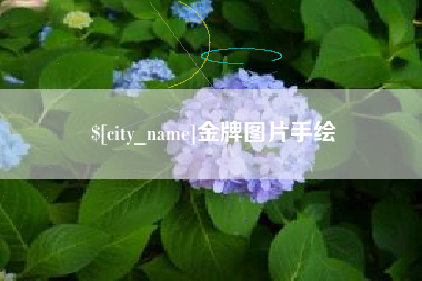 杭州金牌图片手绘