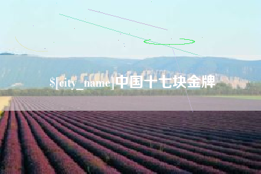 杭州中国十七块金牌
