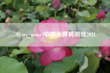 杭州中国金牌榜明细2021