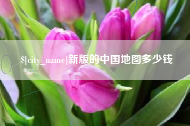 杭州新版的中国地图多少钱