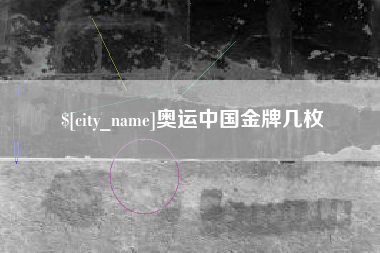 杭州奥运中国金牌几枚
