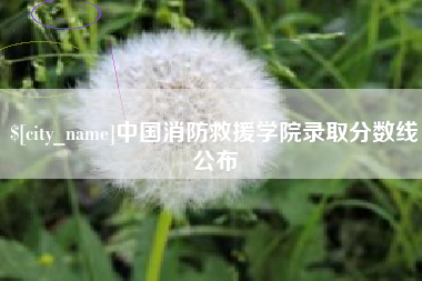 杭州中国消防救援学院录取分数线公布