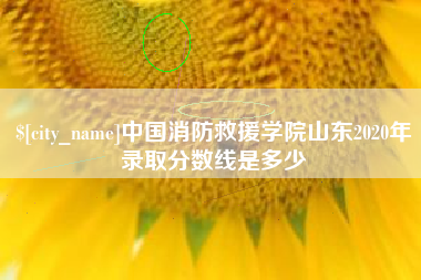 杭州中国消防救援学院山东2020年录取分数线是多少