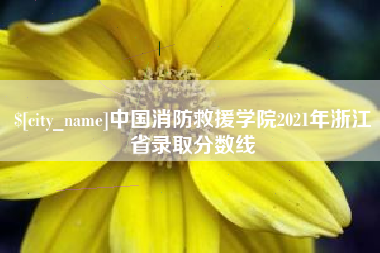 杭州中国消防救援学院2021年浙江省录取分数线