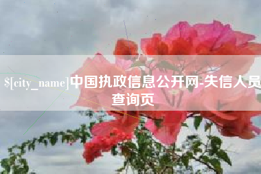 杭州中国执政信息公开网-失信人员查询页
