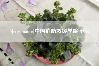 杭州中国消防救援学院 老师