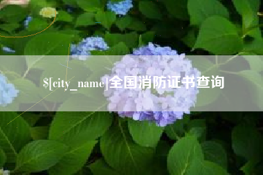 杭州全国消防证书查询