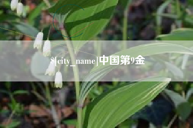 杭州中国第9金
