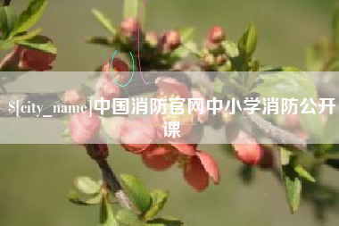 杭州中国消防官网中小学消防公开课
