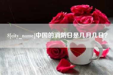 杭州中国的消防日是几月几日？