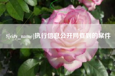 杭州执行信息公开网查到的案件