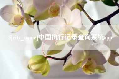 杭州中国执行记录查询系统app