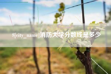 杭州消防大学分数线是多少