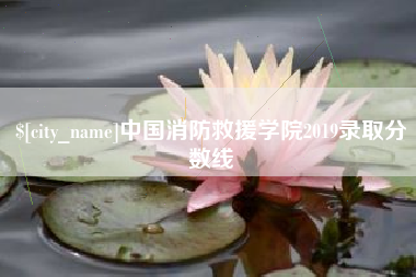 杭州中国消防救援学院2019录取分数线
