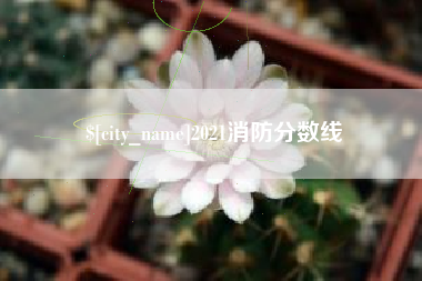 杭州2021消防分数线