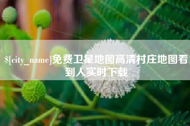 杭州免费卫星地图高清村庄地图看到人实时下载