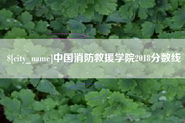 杭州中国消防救援学院2018分数线