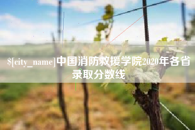 杭州中国消防救援学院2020年各省录取分数线