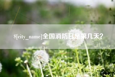 杭州全国消防日是第几天？
