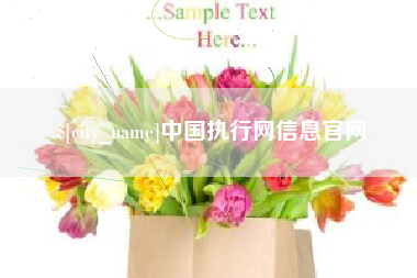 杭州中国执行网信息官网