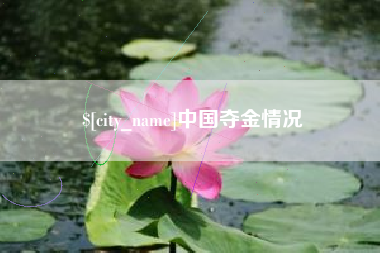 杭州中国夺金情况
