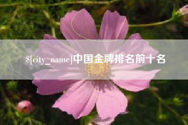 杭州中国金牌排名前十名