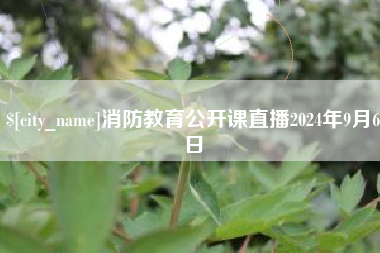 杭州消防教育公开课直播2024年9月6日