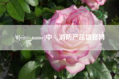 杭州中囯消防产品信息网