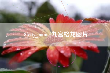 杭州九宫格龙图片