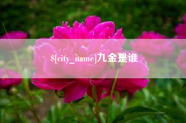 杭州九金是谁