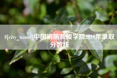 杭州中国消防救援学院2019年录取分数线