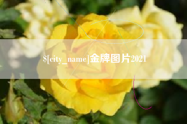 杭州金牌图片2021