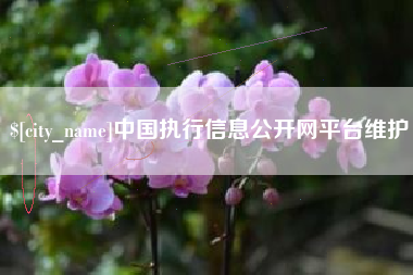 杭州中国执行信息公开网平台维护