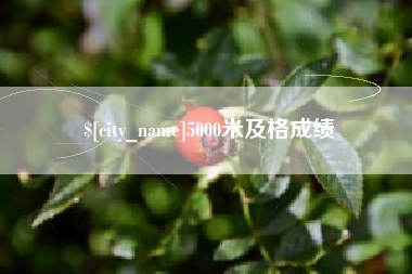 杭州5000米及格成绩