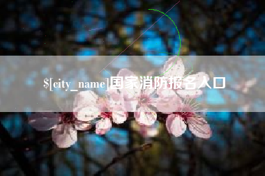 杭州国家消防报名入口
