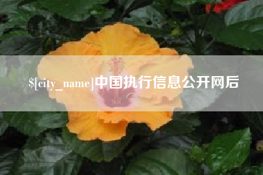 杭州中国执行信息公开网后