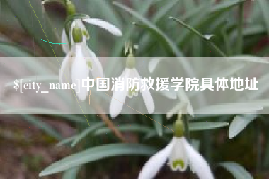 杭州中国消防救援学院具体地址