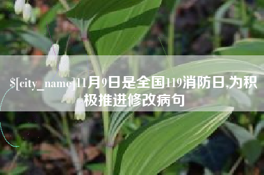 杭州11月9日是全国119消防日,为积极推进修改病句