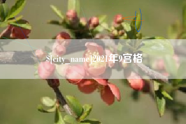 杭州2021年9宫格