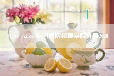 杭州中国消防救援学院分数2020
