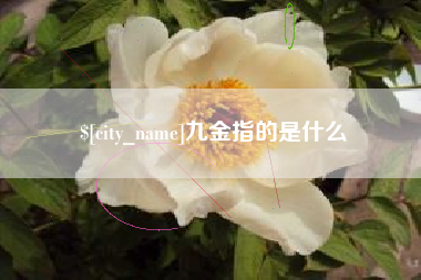 杭州九金指的是什么