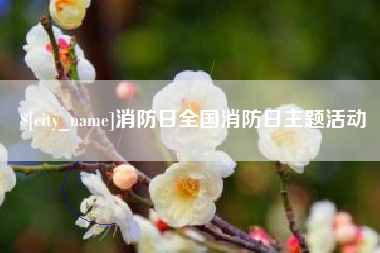 杭州消防日全国消防日主题活动