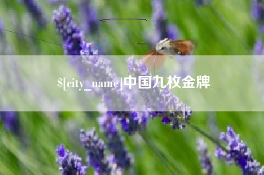 杭州中国九枚金牌