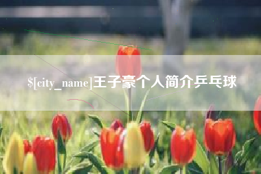 杭州王子豪个人简介乒乓球