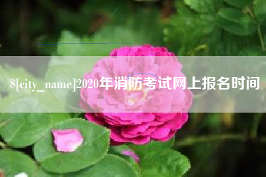 杭州2020年消防考试网上报名时间