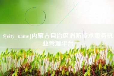 杭州内蒙古自治区消防技术服务执业管理平台