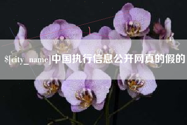 杭州中国执行信息公开网真的假的