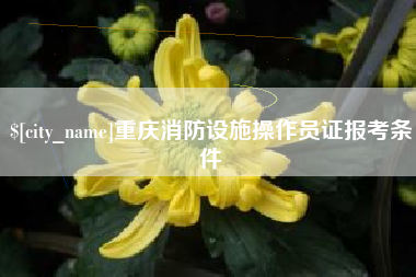 杭州重庆消防设施操作员证报考条件