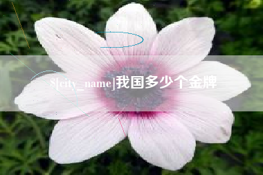 杭州我国多少个金牌