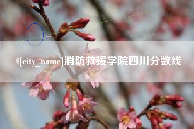 杭州消防救援学院四川分数线